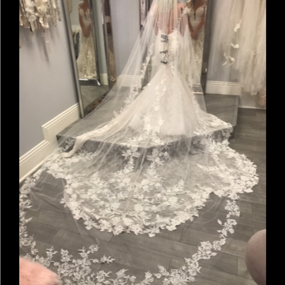 Beautiful cathedral length veil !!!